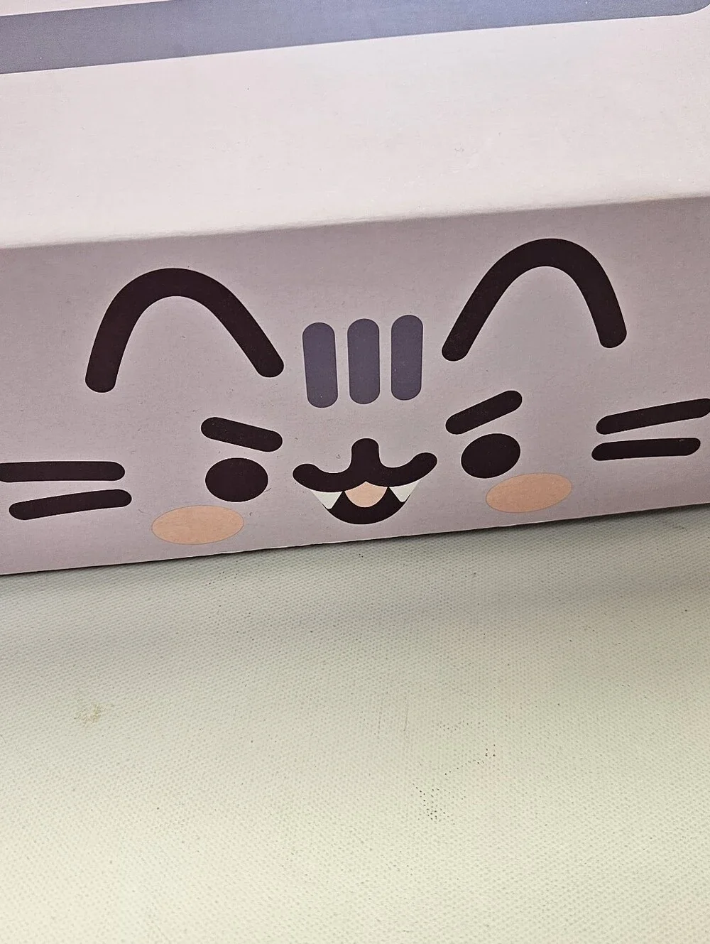 PUSHEEN Box Hooded Cape Vampurr Lavender Kawaii Fleece Costume 2022 NEW